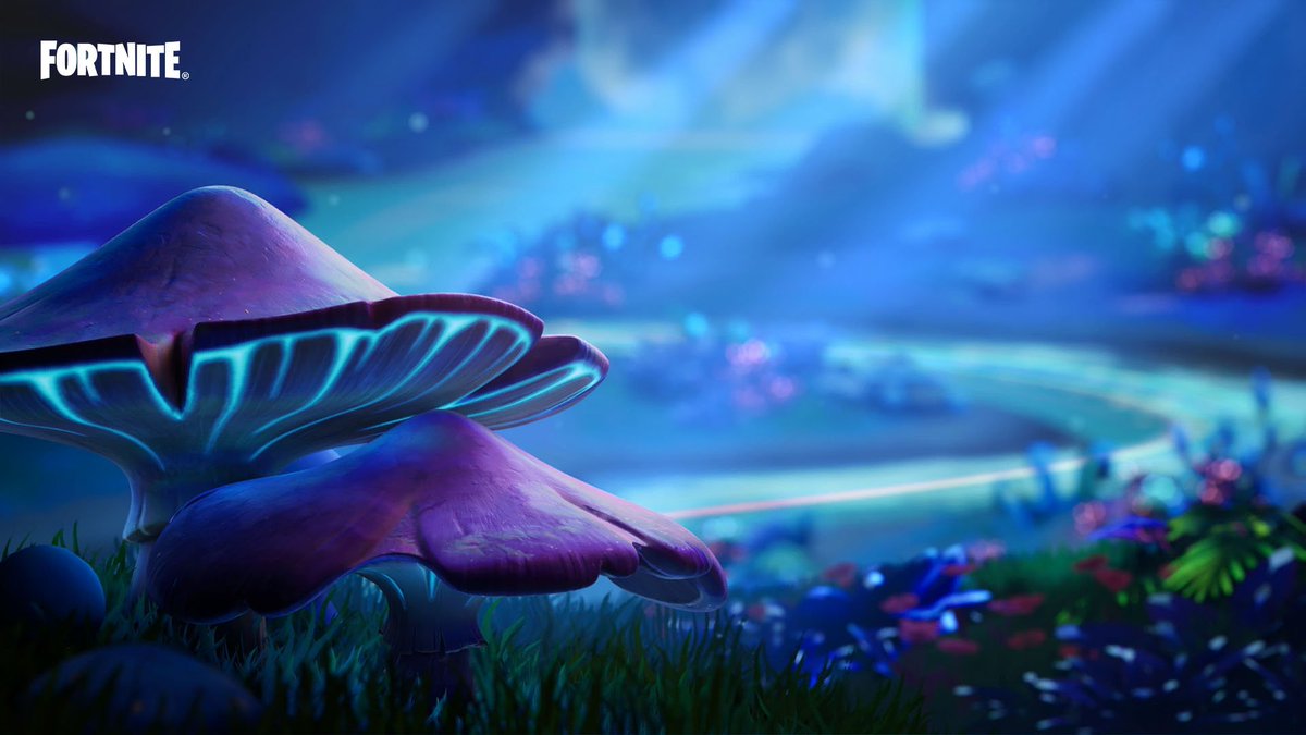 FortniteFR's tweet image. Relax - De la musique pour vibrer sur 

YouTube : youtu.be/GuojXGdw8sA
Twitch : twitch.tv/fortnite