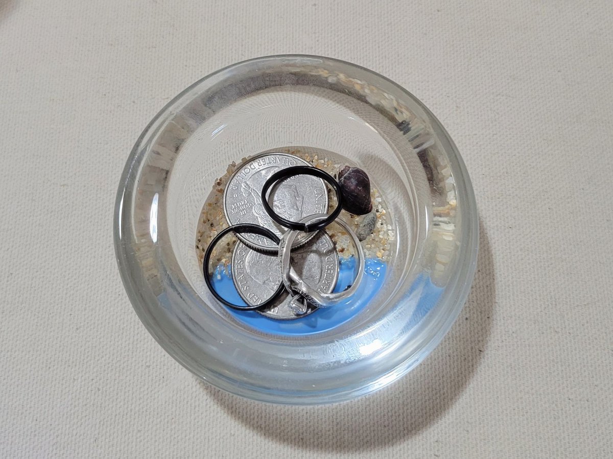 CraftsIdfk's tweet photo. Sending this little guy off to a new home ⛱️ only 4 left !! Check out my Etsy 🧡 idfkcrafts702 https://t.co/apCPaaZ0pi