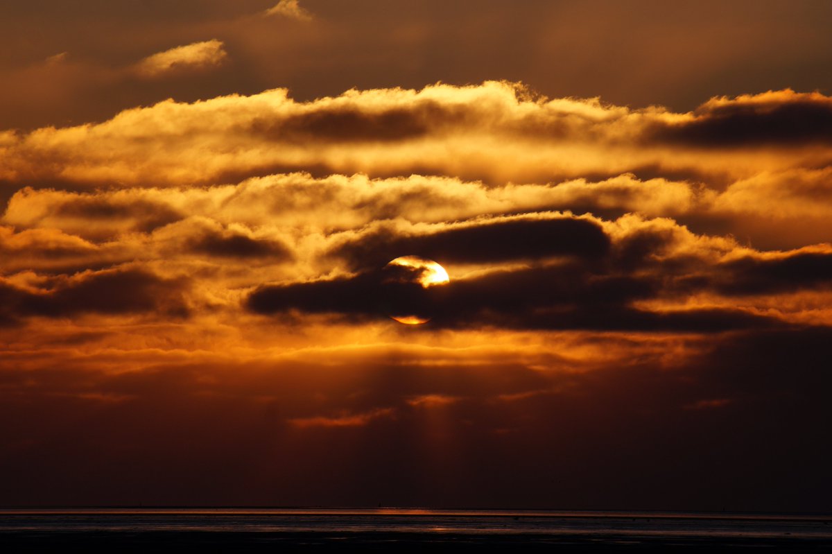 haije_anne's tweet photo. Fijne avond! 🥂#wandelen #wadishetwadmooi #Fryslân #waddenzeekust #sunsetphotography #wanderlust #hetbildt https://t.co/JFaER3BuGT