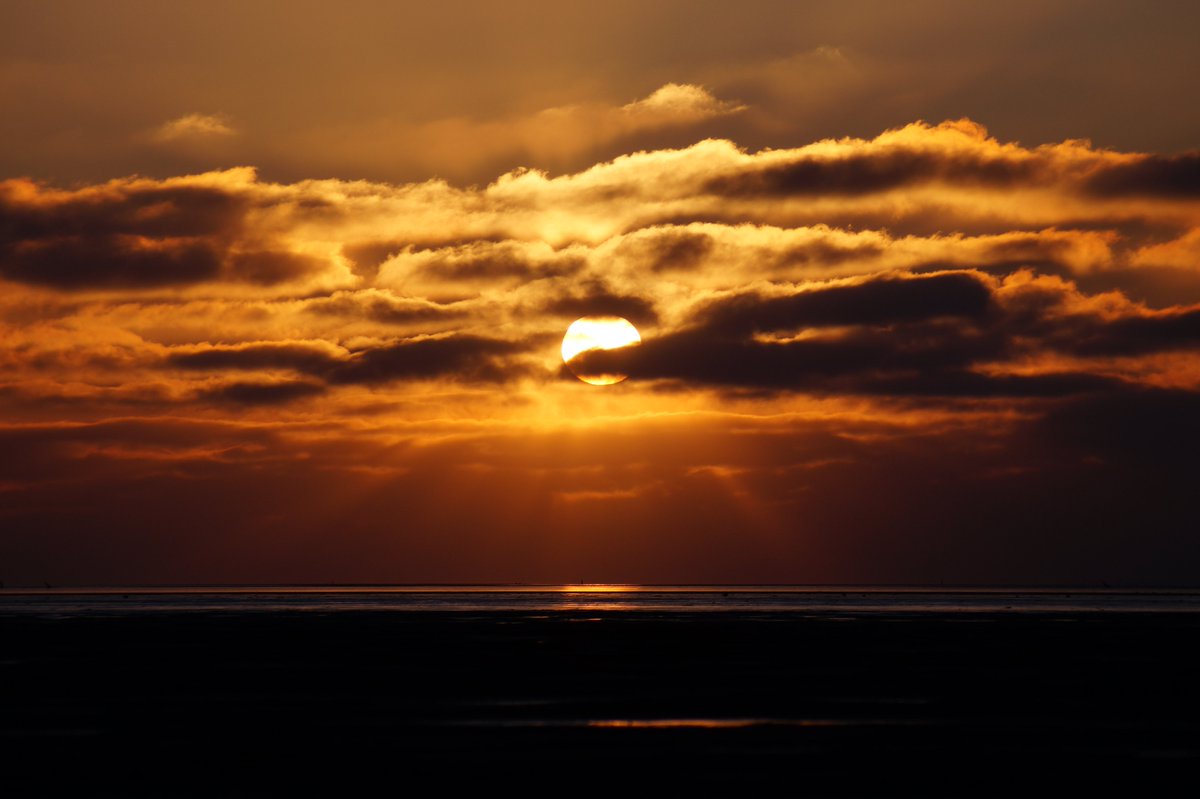 haije_anne's tweet photo. Fijne avond! 🥂#wandelen #wadishetwadmooi #Fryslân #waddenzeekust #sunsetphotography #wanderlust #hetbildt https://t.co/JFaER3BuGT