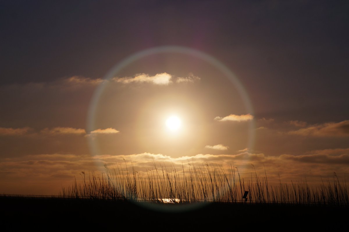 haije_anne's tweet photo. Fijne avond! 🥂#wandelen #wadishetwadmooi #Fryslân #waddenzeekust #sunsetphotography #wanderlust #hetbildt https://t.co/JFaER3BuGT