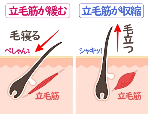 不随意筋 - Twitter Search / Twitter