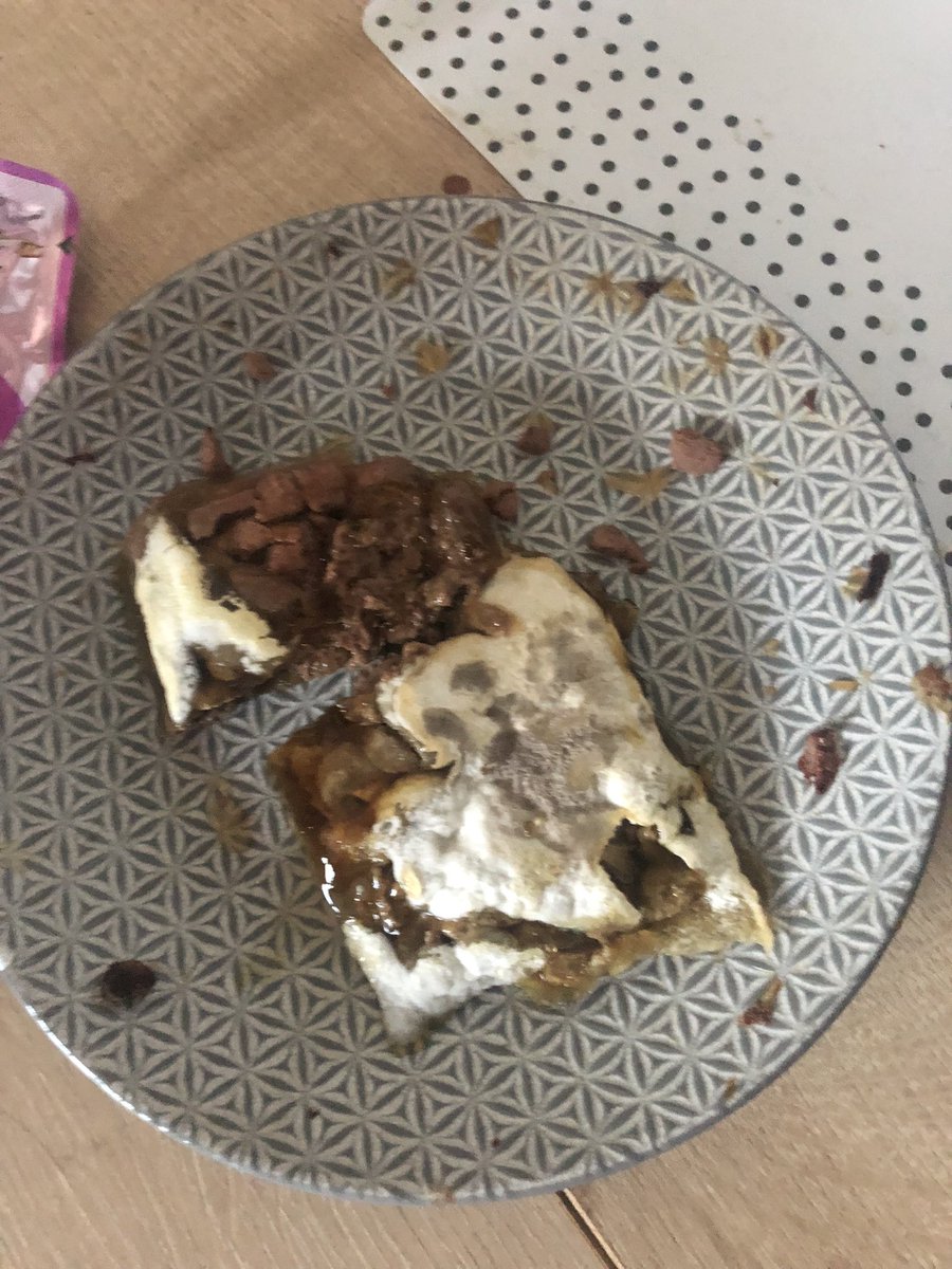 aish_aliii's tweet photo. Went to feed my cat his dinner that I bought from @Morrisons to find this in the packet. Expiry 2024! not happy @whiskas_uk https://t.co/PmvKgLu1I8