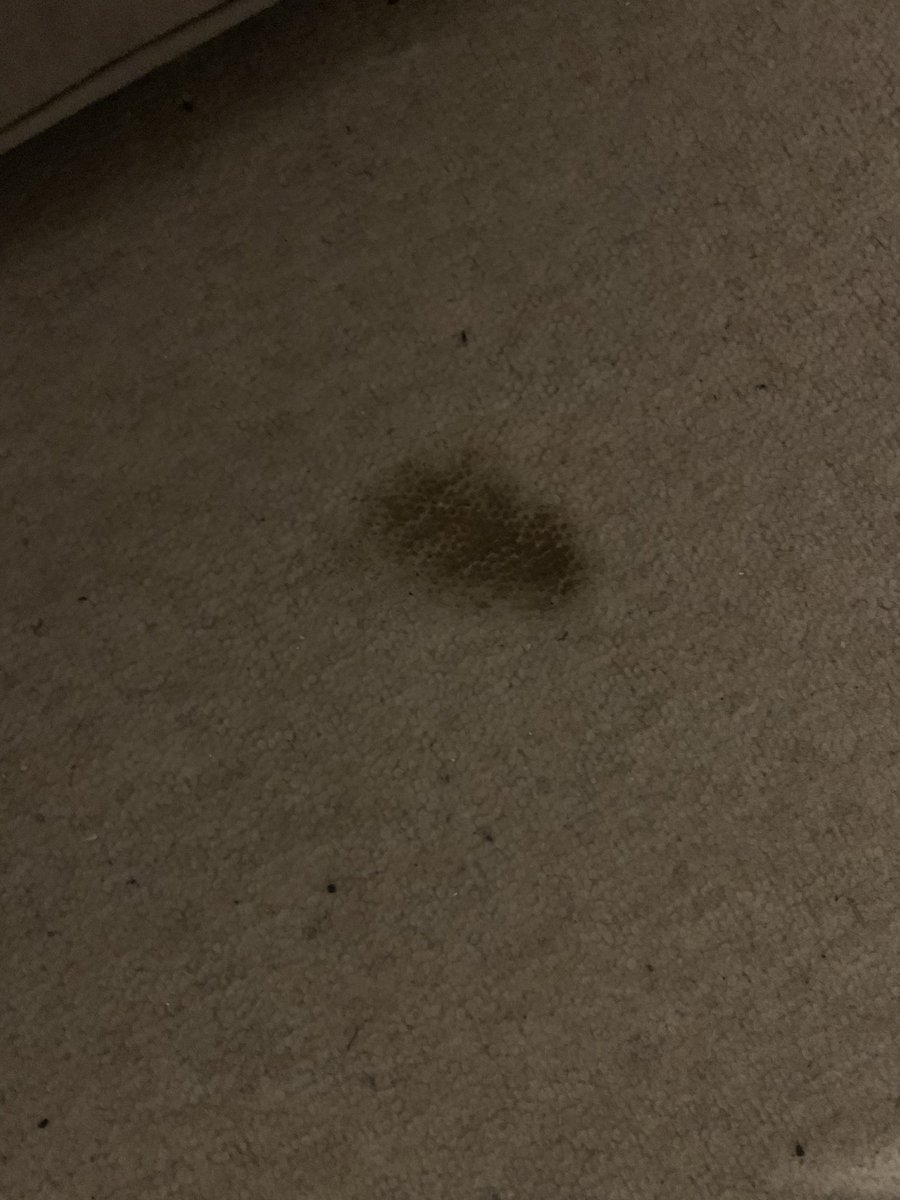 fred feeney tweet media