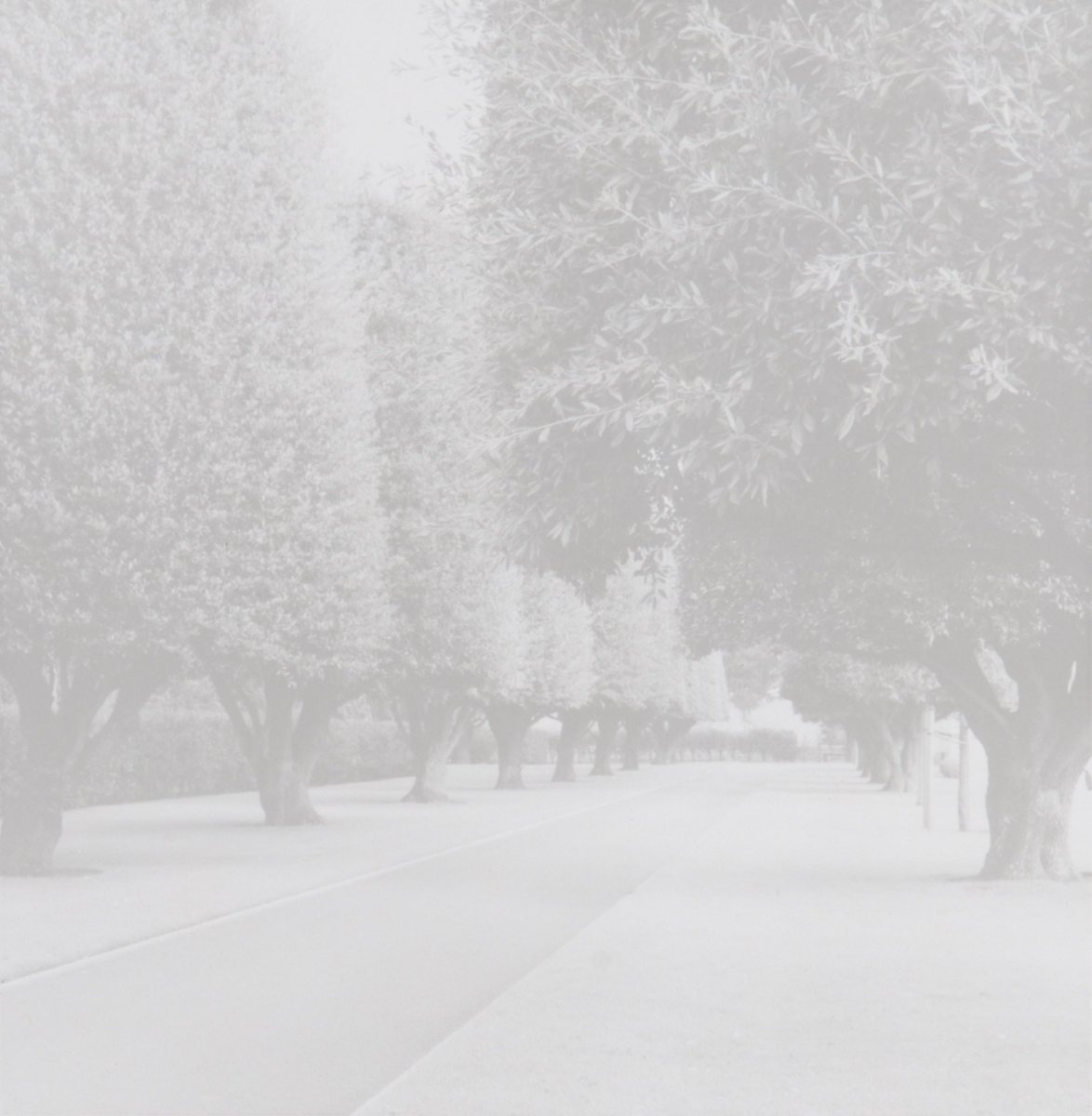 LibbieMasterson's tweet photo. American Cemetery , from the series Ghost. https://t.co/AzAUd3gFYp