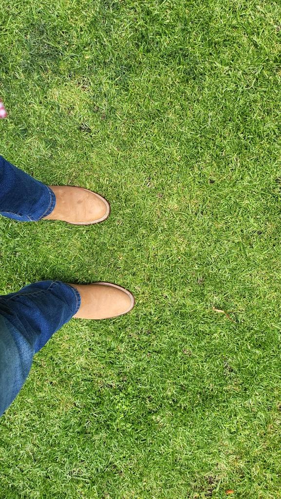delafuentezeind's tweet photo. Hoy tocó campo! #Municipal #DeRancho #DirectitodeHuimanguillo #Bota https://t.co/pS7BISKOnN