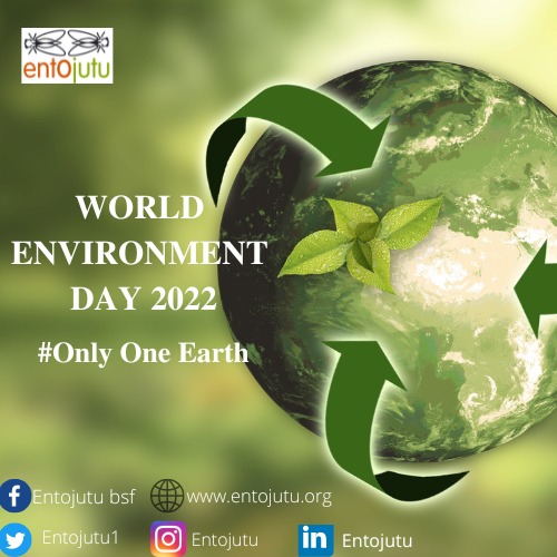 Entojutu1's tweet photo. World Environment Day!
Celebration of world environment day comes with the consciousness that we should be responsible to save our environment because we only have one earth, so let's protect it together!
#WorldEnvironmentDay
#OnlyOneEarth
#BlackSoldierFly
#Insectfeed
#zerowaste https://t.co/qdcHyEBRZH