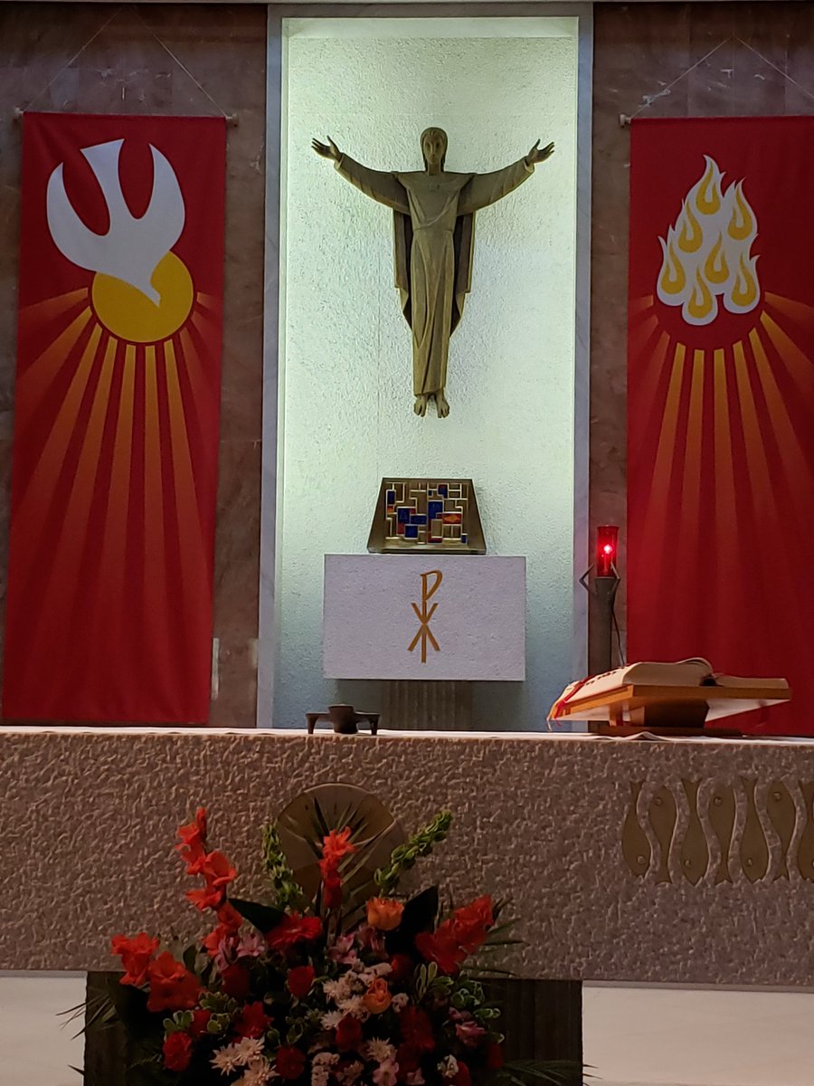 StMattWildcats tweet media