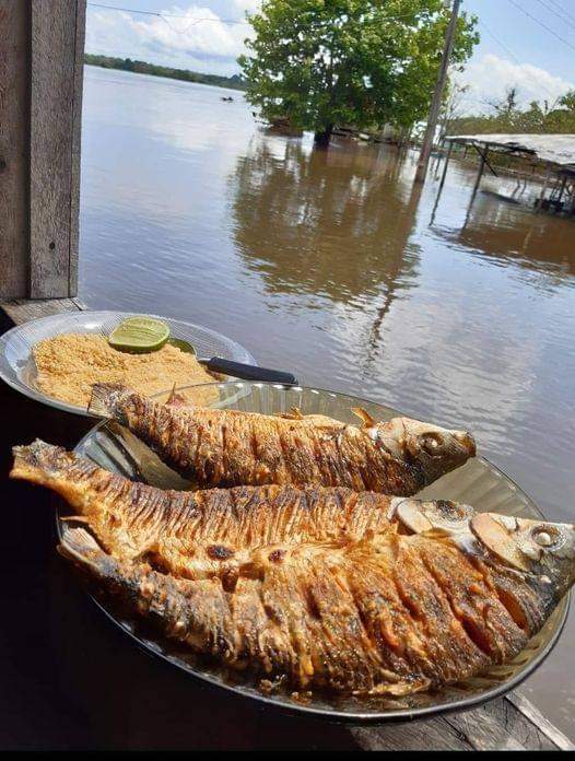 ivan#sdv pontos tim (@ivanaldomartin1) on Twitter photo 