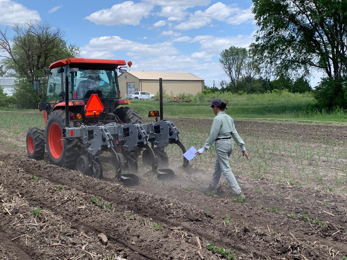 Pragyagupta05 (@pragyagupta05) on Twitter photo Great start of new study. Let’s see how it goes the during the season. Anticipating some exciting results. <a href="/justinmcmechan/">Justin McMechan</a> <a href="/UNLEntomology/">Nebraska Entomology</a> Great start of new study. Let’s see how it goes the during the season. Anticipating some exciting results. <a href="/justinmcmechan/">Justin McMechan</a> <a href="/UNLEntomology/">Nebraska Entomology</a>
