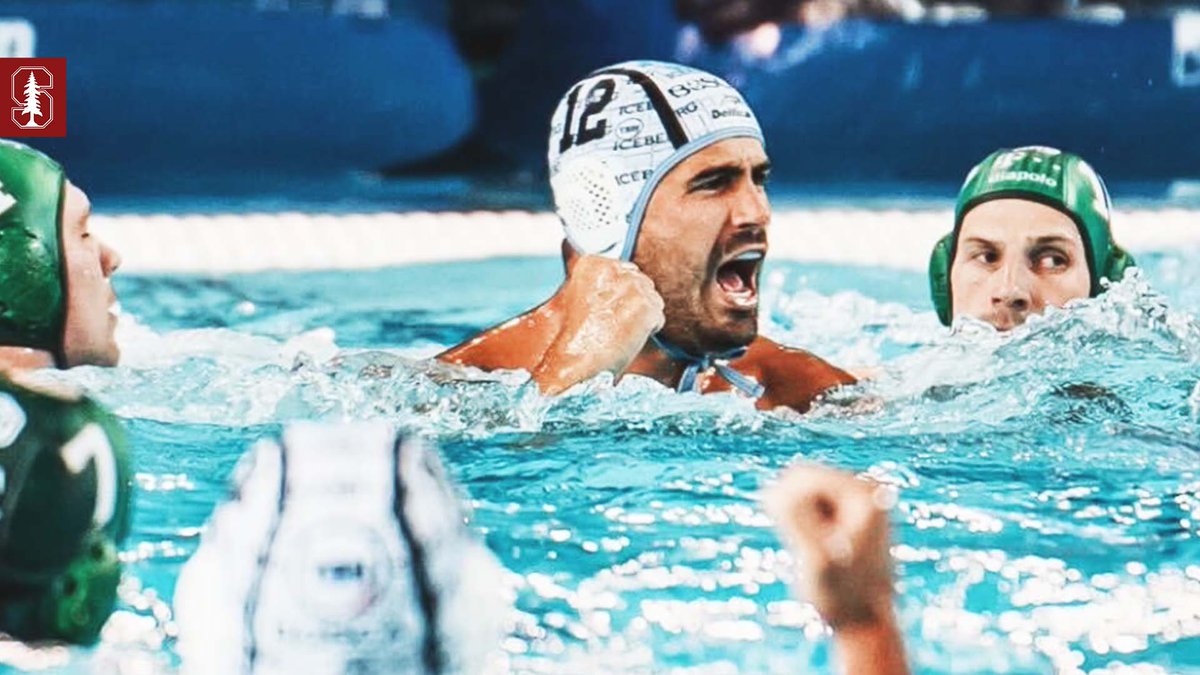 Stanford Men's Water Polo tweet media