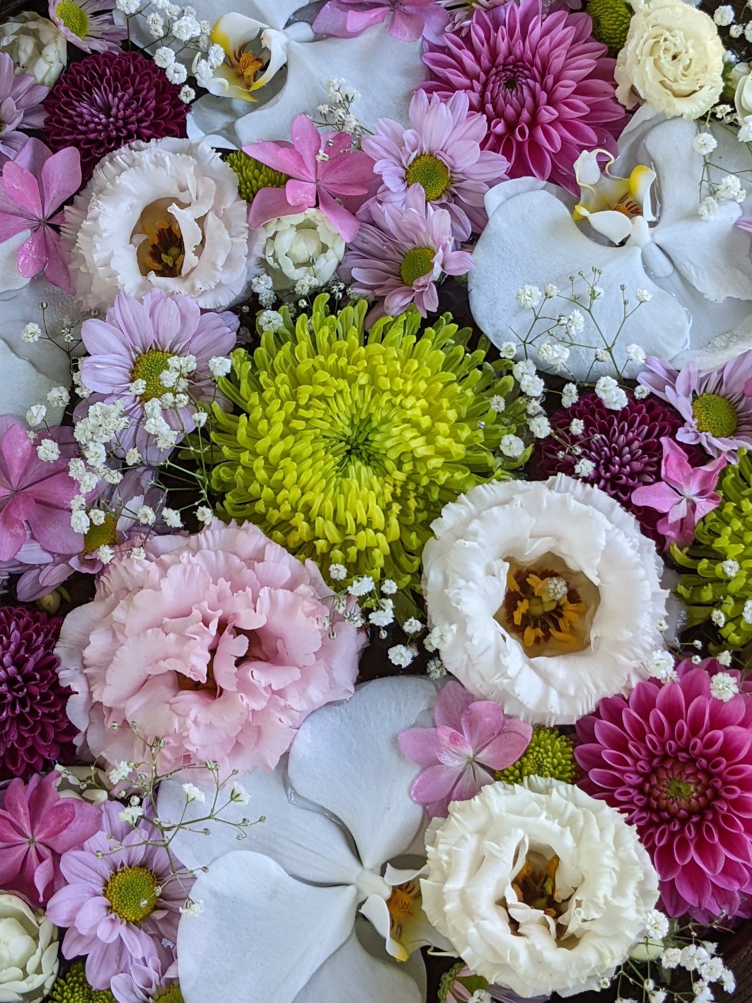Yu1 Ka7 Stone おはようございます 野見神社 の 花手水 です テーマ 六月の花嫁 ﾄﾙｺｷｷｮｳ ﾋﾟﾝｸ 花言葉 優美 25年前 6月の花嫁だった私 ﾄﾙｺｷｷｮｳのﾌﾞｰｹを持ったなあ 懐かしき思い出ﾃﾞｽ 素敵な日曜日を ᵕ ᵕ 額装のない
