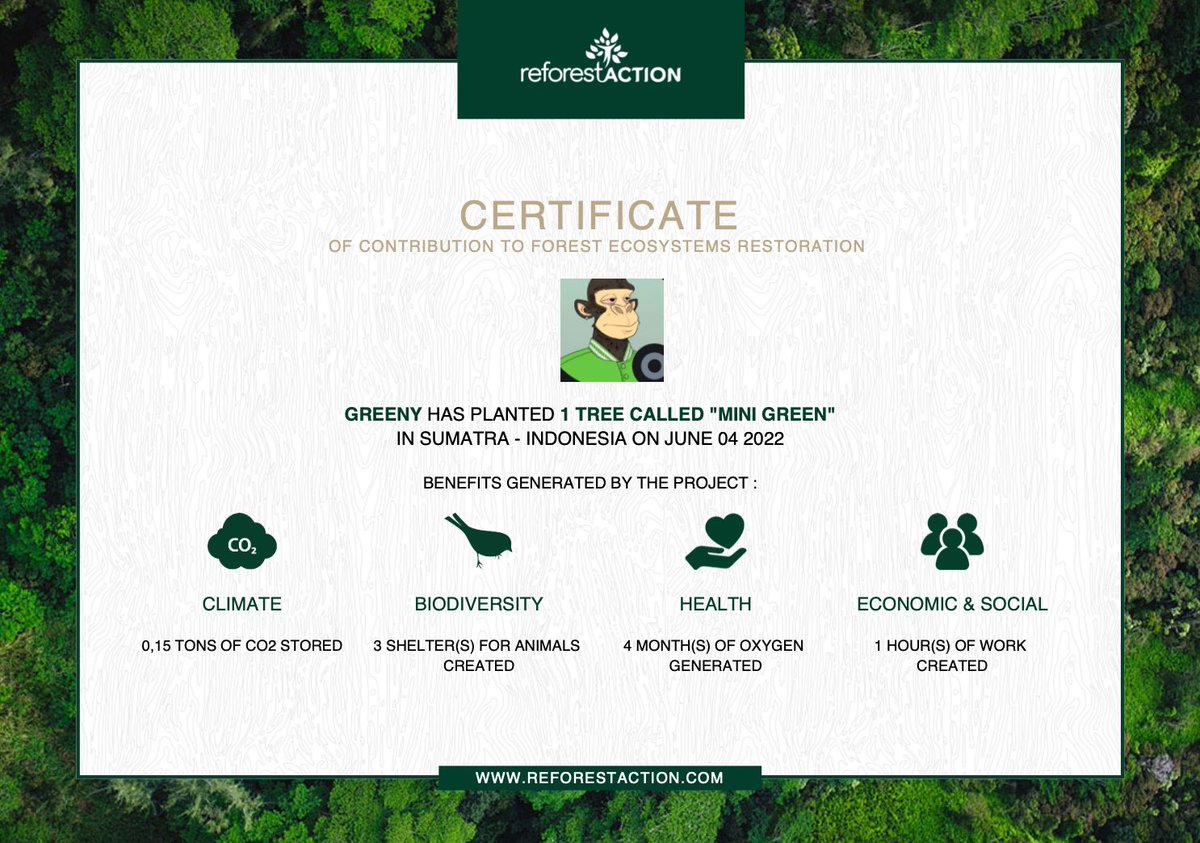 * thanks to Joanna from <a href="/N4P_official/">N4P | Presale SOLD OUT 🌱</a> , we named it « mini green » 💚 how double cool is that ? 😂