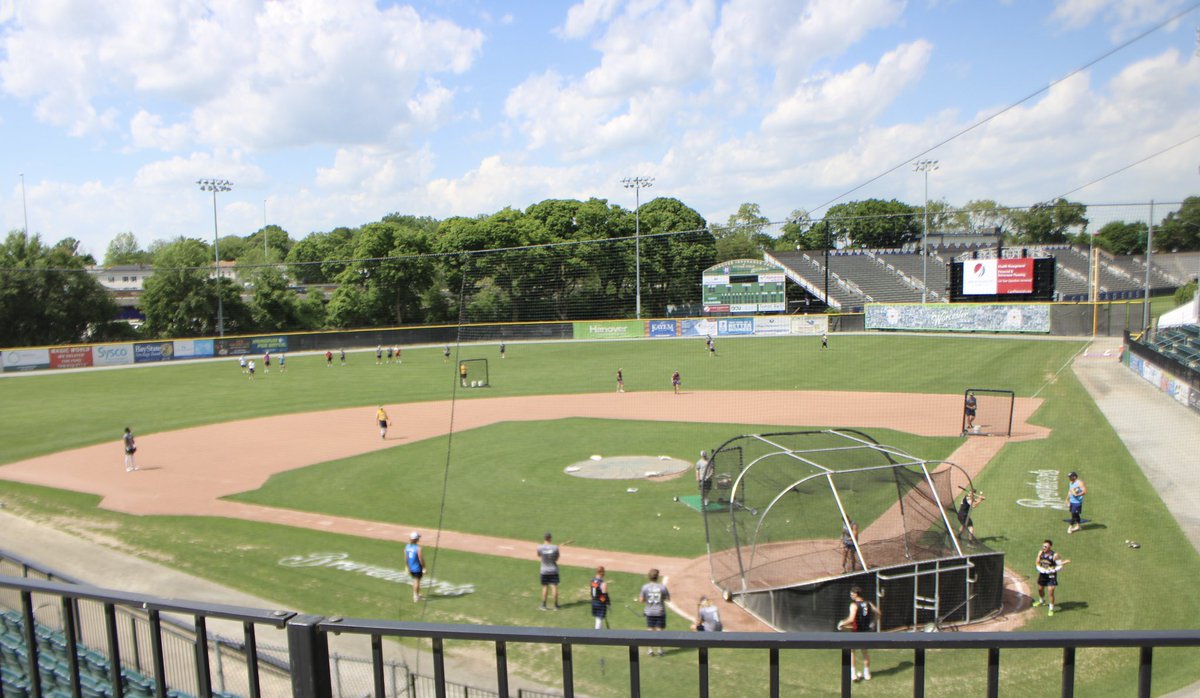 Worcester Bravehearts💚⚾ tweet media