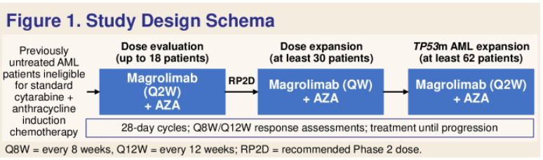 Schema of patients in the study.