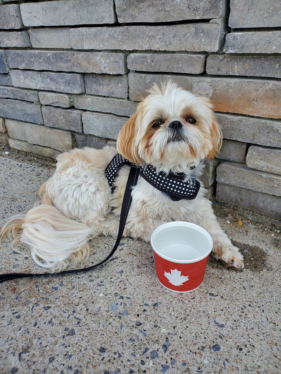 Deborah Smith tweet media