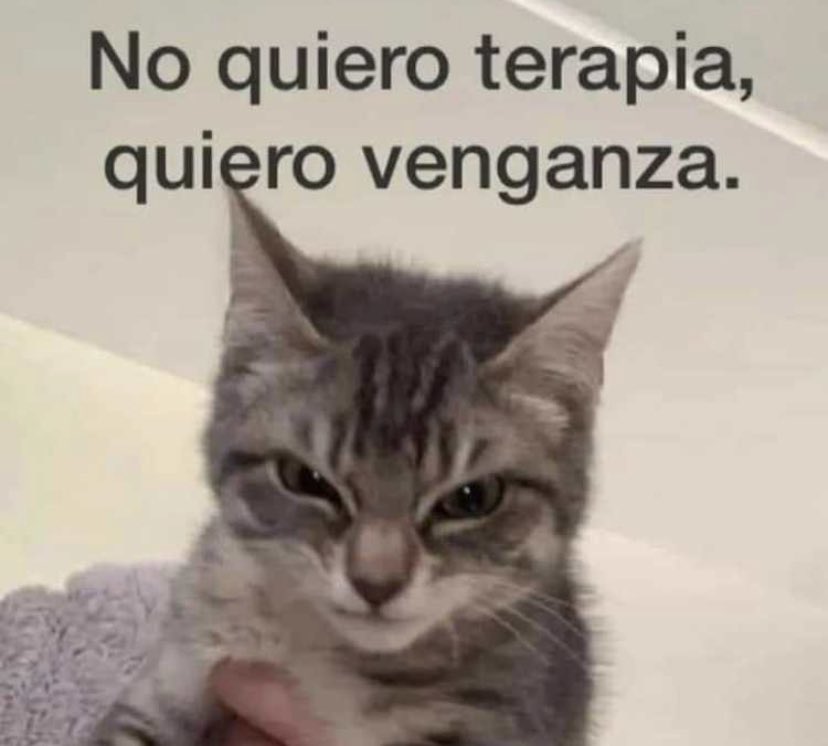 animaisfrases_'s tweet photo. https://t.co/THgM2C2bwo