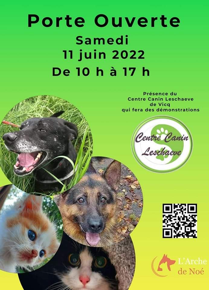 adnquarouble's tweet photo. L'Arche de noé quarouble(59) vous donne rdv le 11 juin 2022 de 10h à 17h afin de découvrir le refuge et ses loulous à l adoption 🐈🐶 lors de sa porte ouverte. 
Présence du centre canin Leschaeve avec démonstrations. 
Venez nombreux les rencontrer, tous ont droit à une famille. https://t.co/zvPzjzgE4P