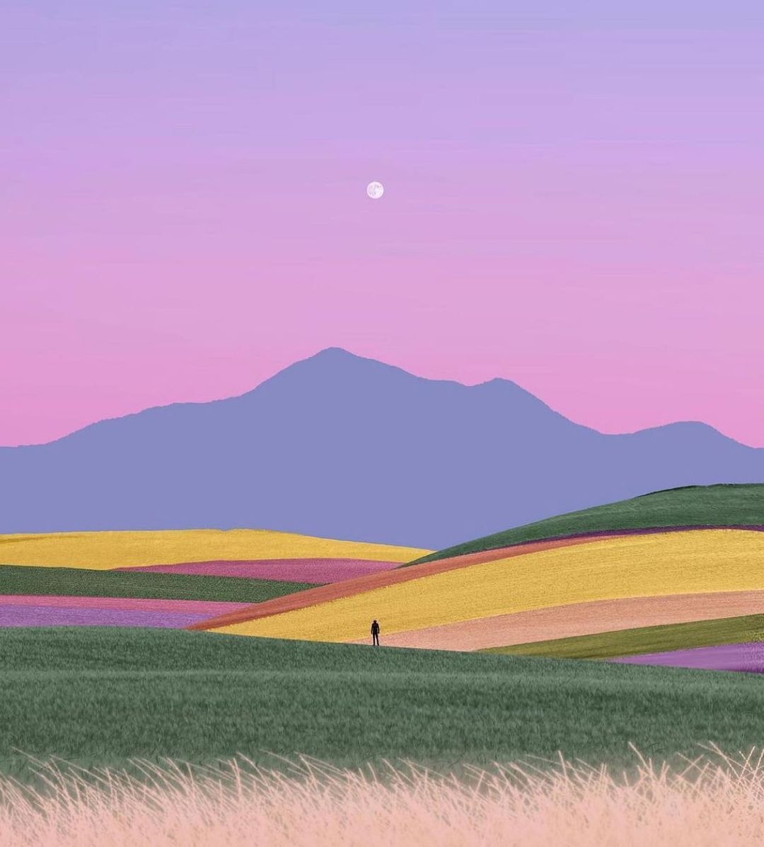 How close are you to your dreams? 🌈
by @andhikaramadhian via <a href="/thepinklmnd/">The Pink Lemonade</a>