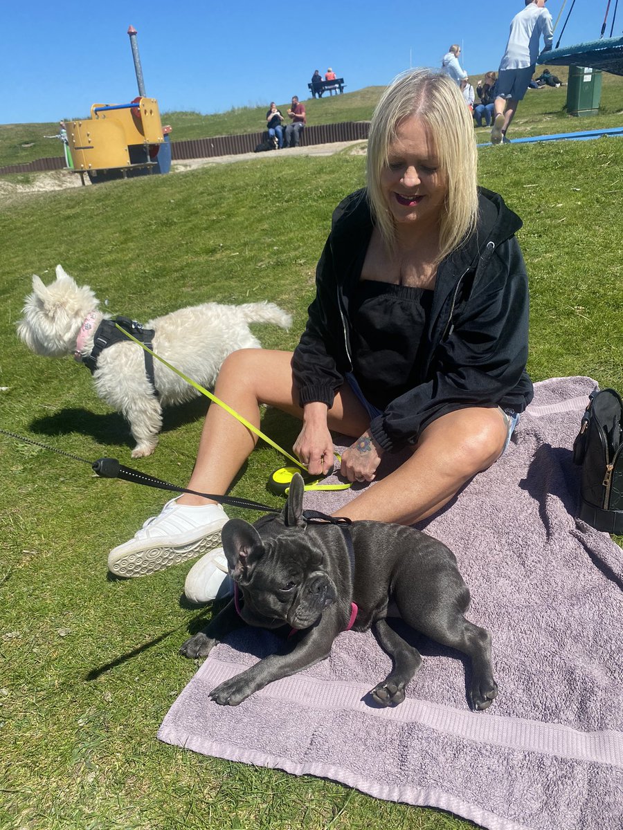 prittypie's tweet photo. #StAndrews #Scotland #grankids #frenchie #westie #dogsoftwitter @MissDiamondDiv1 #Fendi https://t.co/F7exL4cJgy