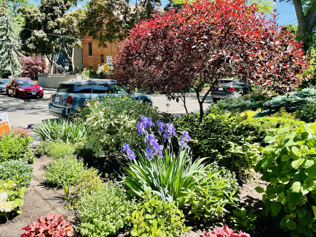TashaKheiriddin's tweet photo. Membership sales are done! Spent the morning giving the garden some love after too much neglect. #cpcldr #teamcharest https://t.co/jER71D08Tk