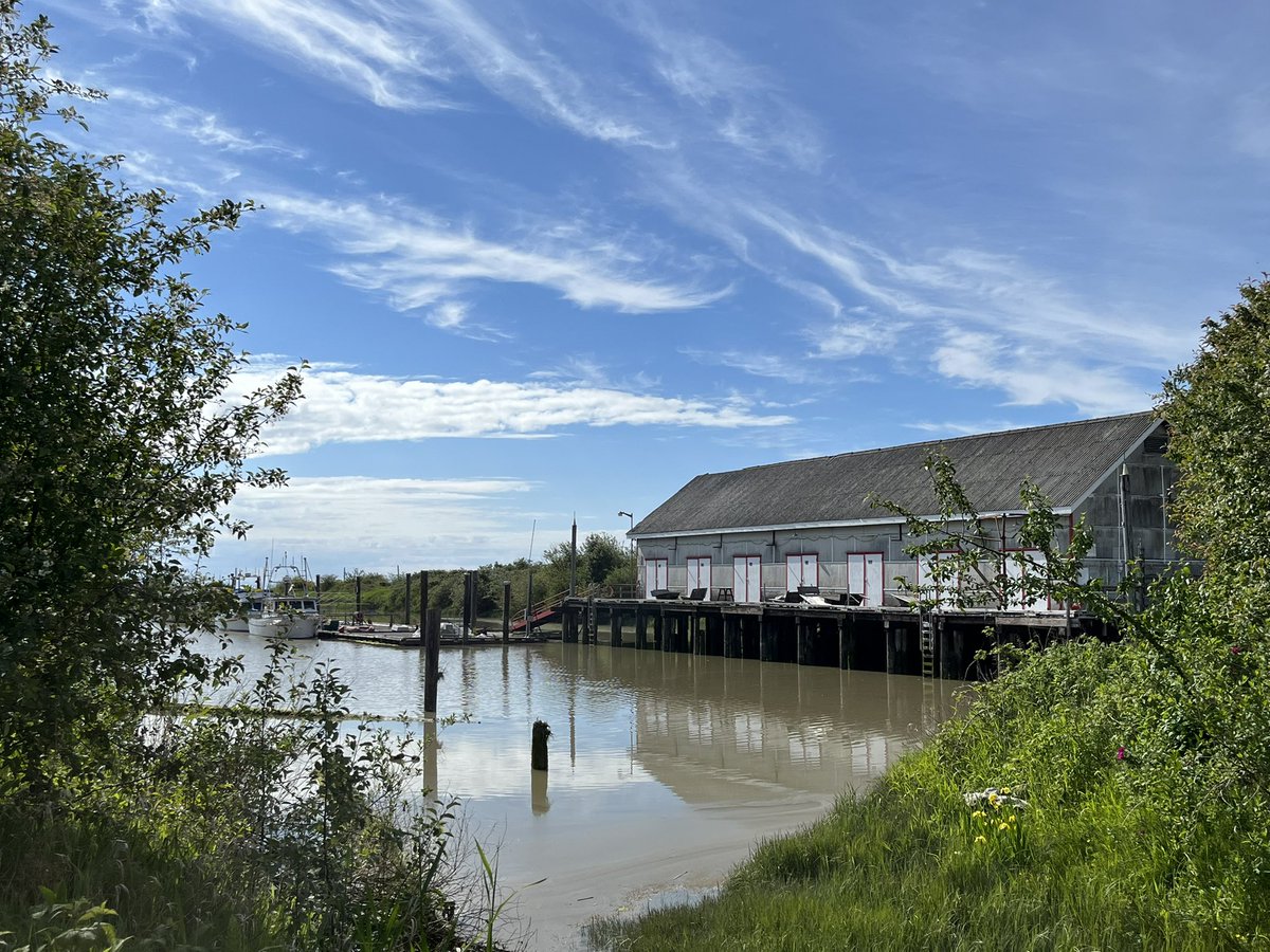 Scotch Pond is named after the Scottish-Canadian Cannery, but the site has a special connection to the Nikkei Canadian community. Find out more in our #DoorsOpenRichmond video out now! @Richmond_Museum #RichmondBC