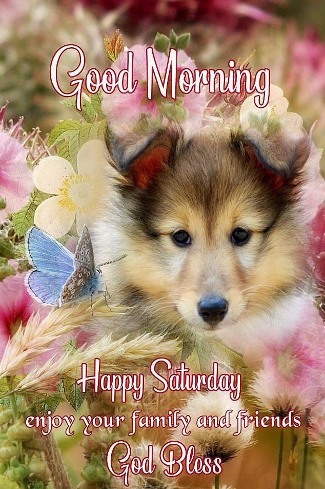 Nu2You2's tweet photo. Here’s to a better day. I’m choosing to be happy today. #JerryJames called &amp; I took him on my 4 mile walk with me giving him all the details of what I saw, cars passing by &amp; things happening. Then we shared what we’d be doing if he was home. #MissingmyHubby https://t.co/YyJxQJAcs5