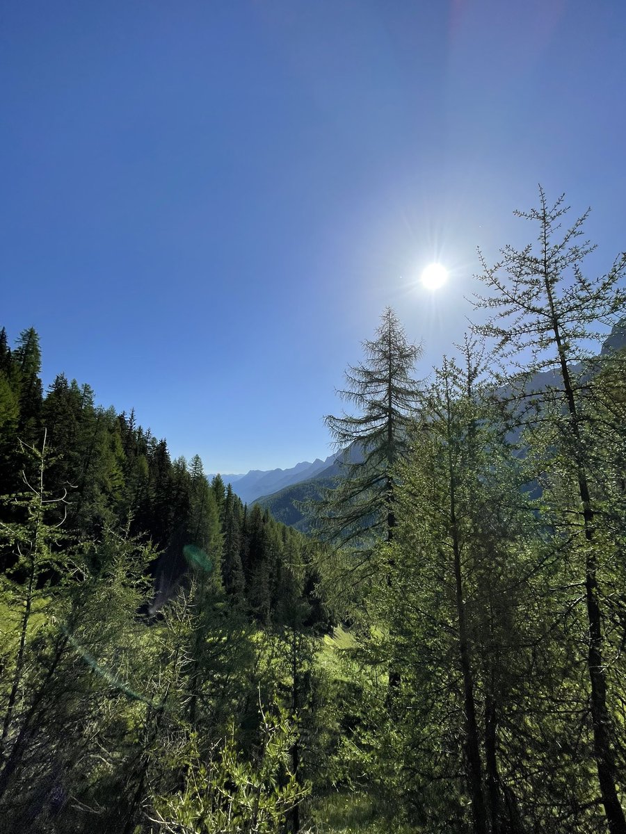 La_Nusch's tweet photo. @Avi_Kaplan @AggietheatreCo Would love to visit Colorado some time. I also got to spend some time in the mountains today, but in Switzerland :) https://t.co/c3m3F9TXqM