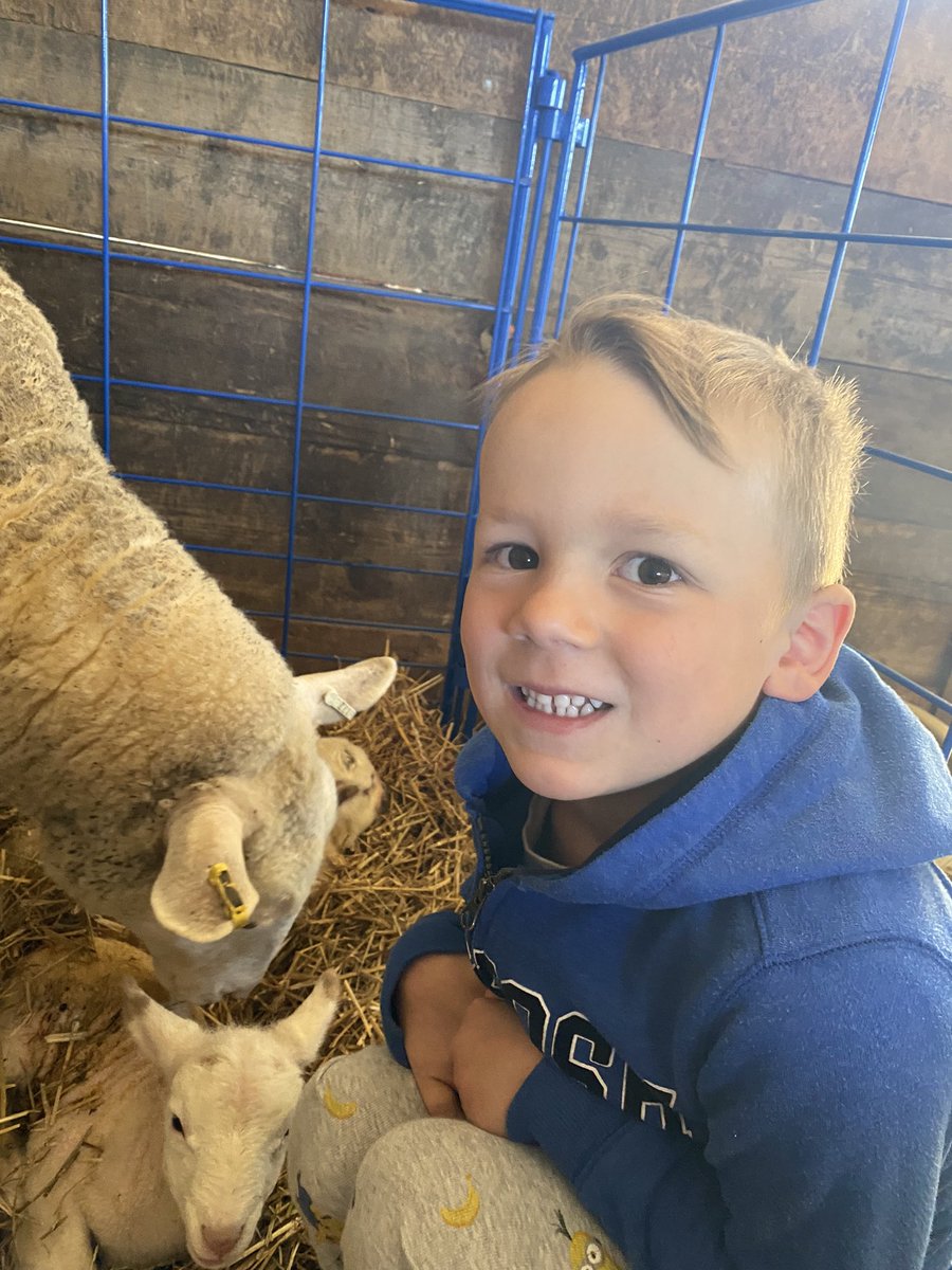 Michell89253923's tweet photo. You know it’s going to be a good day when you find these little ones in the barn this morning! #lambing2022 #thekidsareexcited #farmlife https://t.co/7CUVWyYQF1