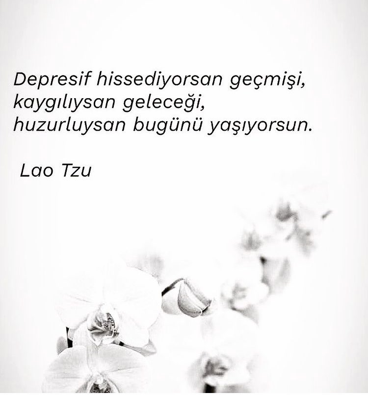 🧚‍♂️🧚‍♂️🧚‍♂️🦋🦋🦋🦋