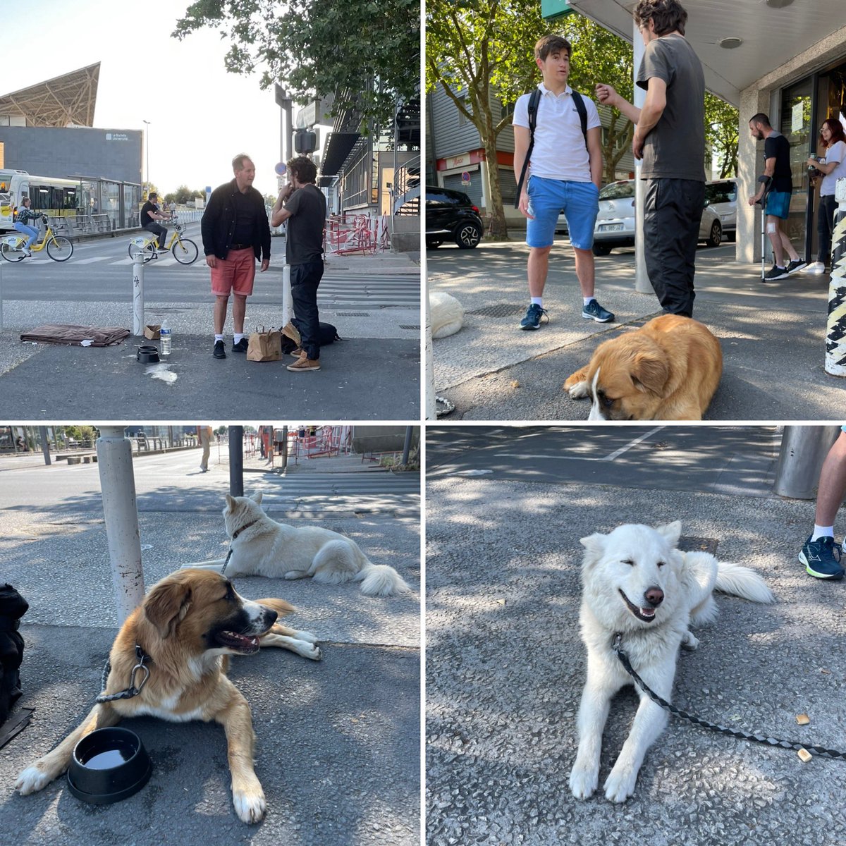 europeanobs's tweet photo. 2/2 (…)
de réconforter les personnes sans-abri, puis, par les rencontres, de leur proposer un logement digne.
✅ L’#OENDDF est sur le terrain pour aider les personnes sans-abri.
✅ Sur nos parkas, nous avons inscrit comme devise : « Qui que tu sois, nous sommes à tes côtés ». https://t.co/Ee2fugTDgF