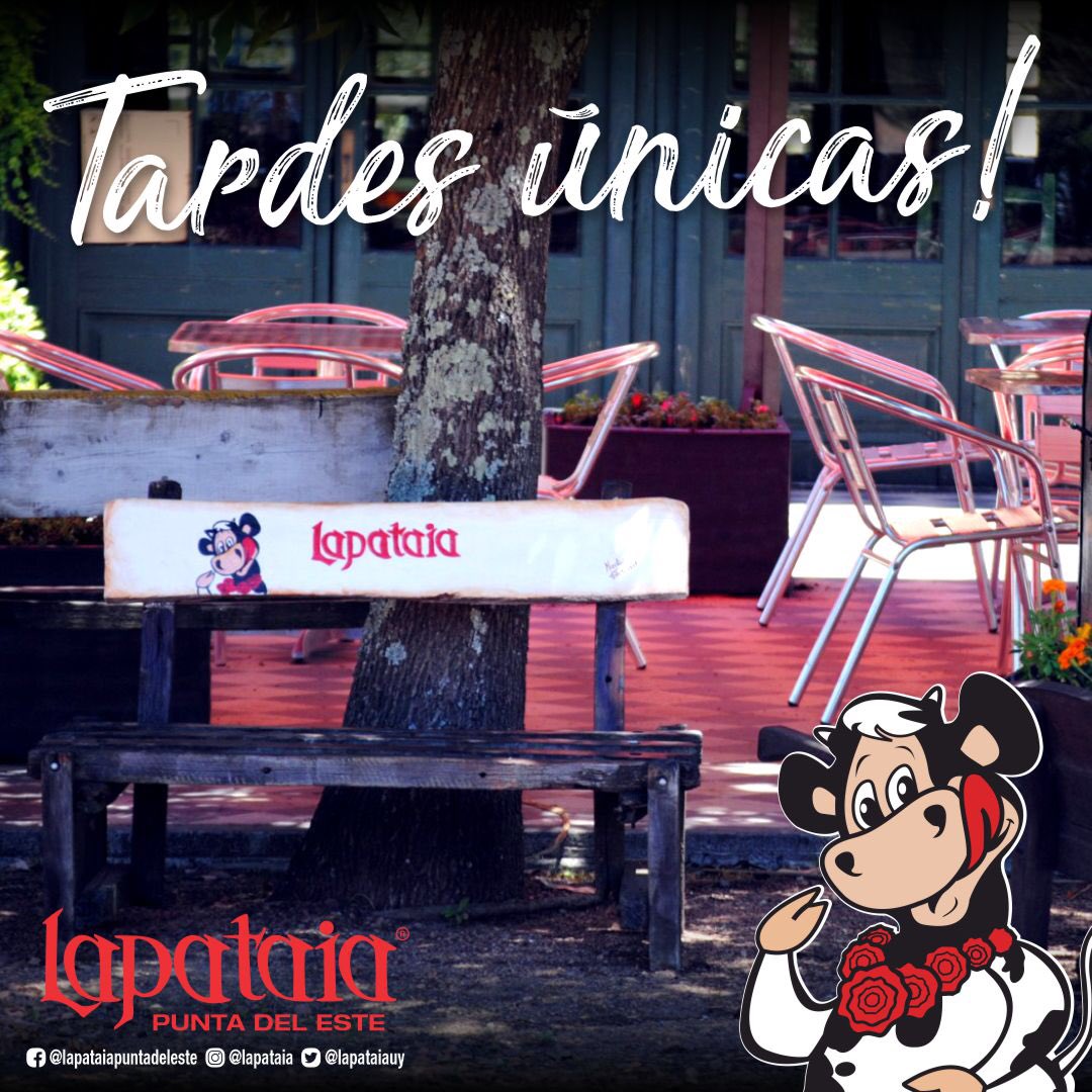 LAPATAIAUY's tweet photo. 🐮Las tardes de invierno tienen un encanto único en Lapataia, te lo vas a perder?

Te esperamos de Jueves a Domingos de 13:00 a 18:30 horas para pasar una #dulce tarde en familia!

#lapataia #lapataiapuntadeleste #uruguay #temporadainvierno #invierno2022 #inviernoenlapataia https://t.co/GbhAbJRv99