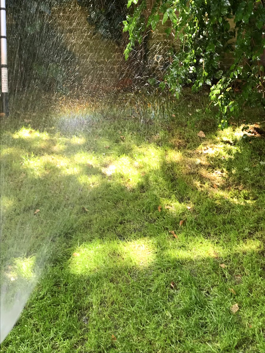 MrMoustacheCat's tweet photo. @QueenieBelfast Thanks! I's got anofur pic of the rainbow on the grass! 😺🌈🌦️
I's furry excited! 💖💛💜💙 https://t.co/HkFydeiDB1