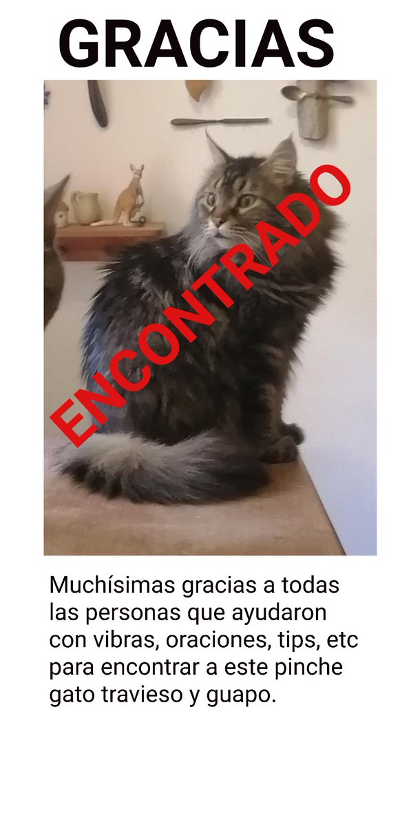 MagosNava's tweet photo. @rossypq Ya lo encontramos!!! Disculpa https://t.co/1Zv99Jog5j