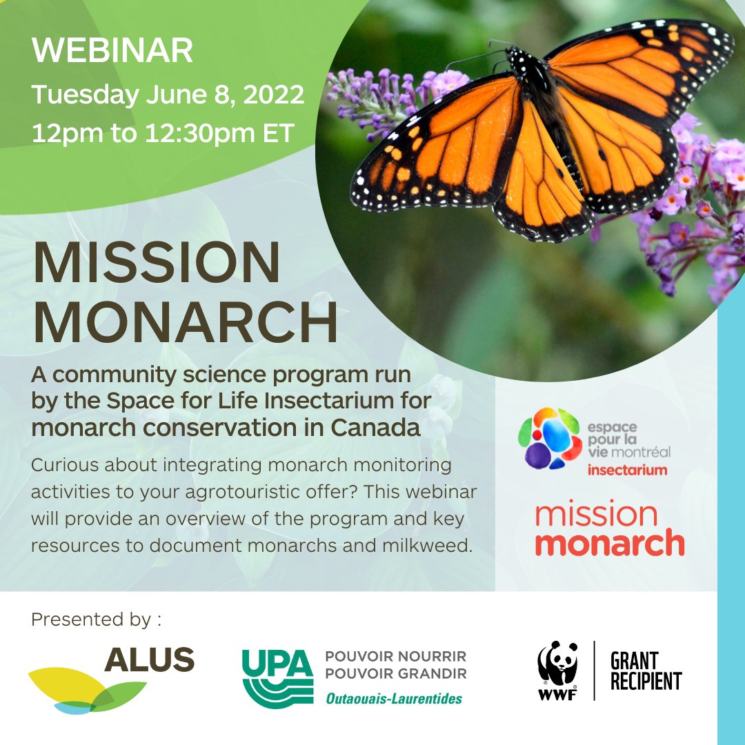 ALUS_Solutions's tweet photo. Join ALUS Outaouais for a presentation on Mission Monarch. Farmers can participate by sharing their own monarch observations or organizing activities with the community during the monarch blitz in July and August. Find out more on Wednesday, June 8th.

https://t.co/kfiyfd0uKV https://t.co/HXXbbEc0kB