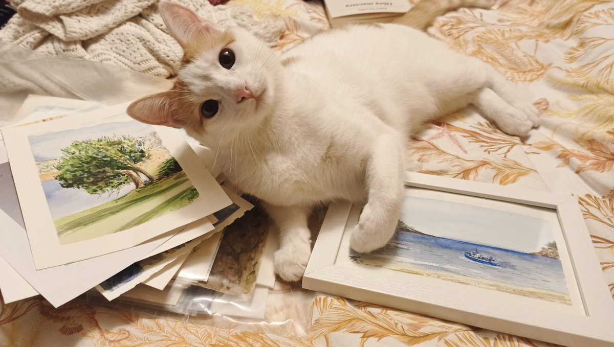 RedondoAlmandoz's tweet photo. ¿Esto no se toca? 🤦♀️ #gato #liante #acuarelas https://t.co/VdSUgzzfog