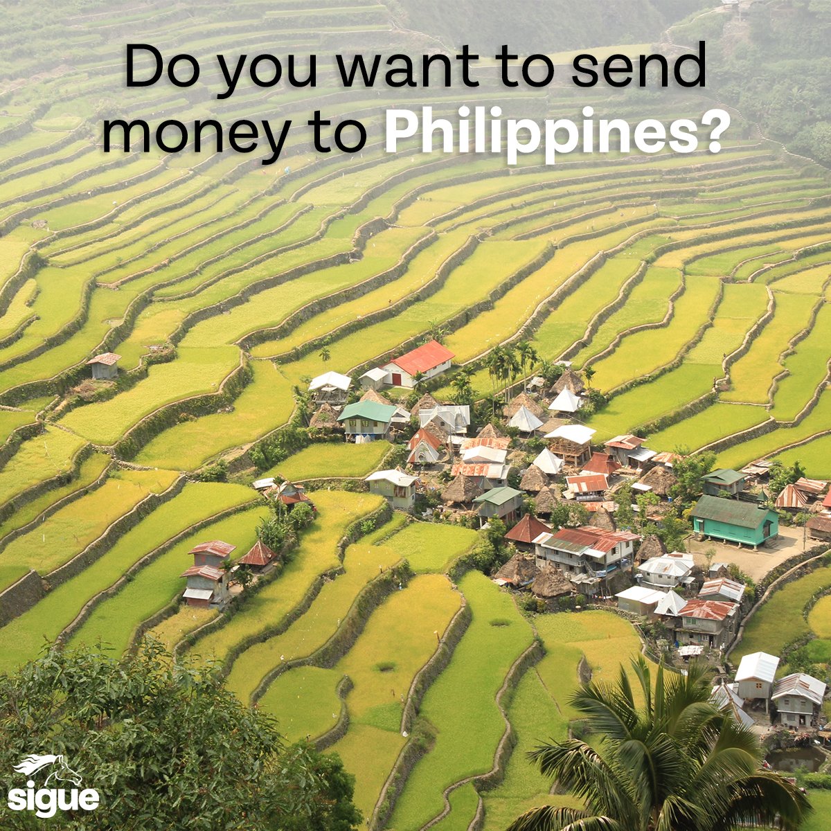 SigueCorp's tweet image. Sigue brings you closer to who you love most in the Philippines.

Send them money via the #SigueApp, easy, safe and fast.
or visit our Sigue Location in all 50 states.

#sendmoneyhome #Philippines  #remittanceservices #sigueMoney
