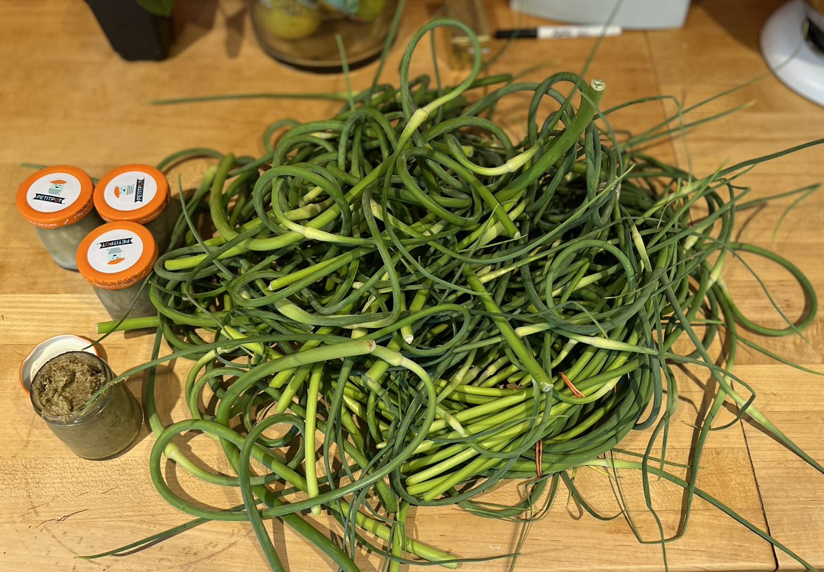 WarHen Records tweet media