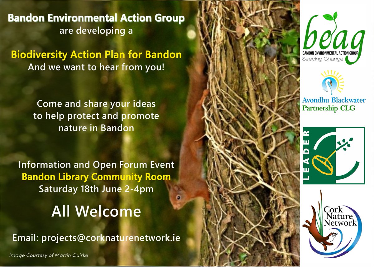 corkcolibrary's tweet photo. Do you love nature, and have ideas to protect it? 🤔

Come to #Bandon library on Sat 18th June when @BandonBeag will be hosting an Open Forum for their  Biodiversity Action Plan! 🌸🌿

All are welcome, so come and get involved- email projects@corknaturenetwork.ie for more info ✏️ https://t.co/rKPZNjTNvH