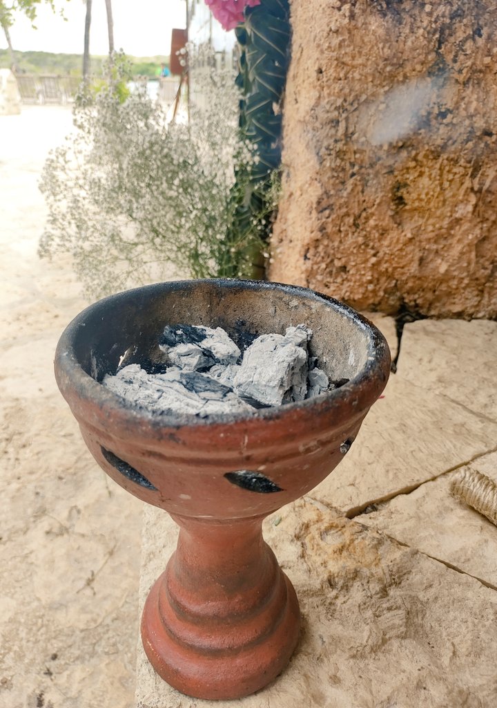 VisitandoCancun's tweet photo. Hoy Primera Ceremonia de Cosecha de Miel de la abeja maya #Xunankab @XelHaPark #AbejaMaya #MaravillaNatural #Xelhá https://t.co/apRZoK7YAQ