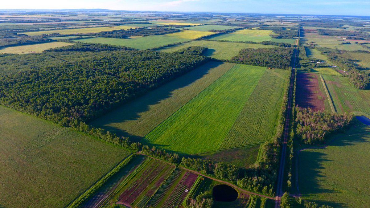 CISNCountry's tweet photo. Happy #PrairieDay #Yeg.

The first Saturday of June is #NationalPrairieDay. It recognizes one of the richest ecosystems on earth. 

The prairies are at the heart of North America. A wide swath includes flat grassland running from Alberta, Manitoba, and Saskatchewan down to Texas. https://t.co/bOGQi99Wrg