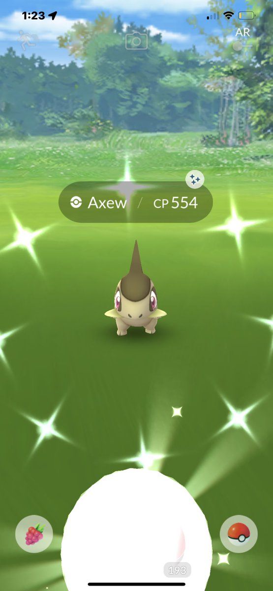 rigbeewoaaah's tweet photo. shiny axew 🤩 https://t.co/Z7frp61bDa