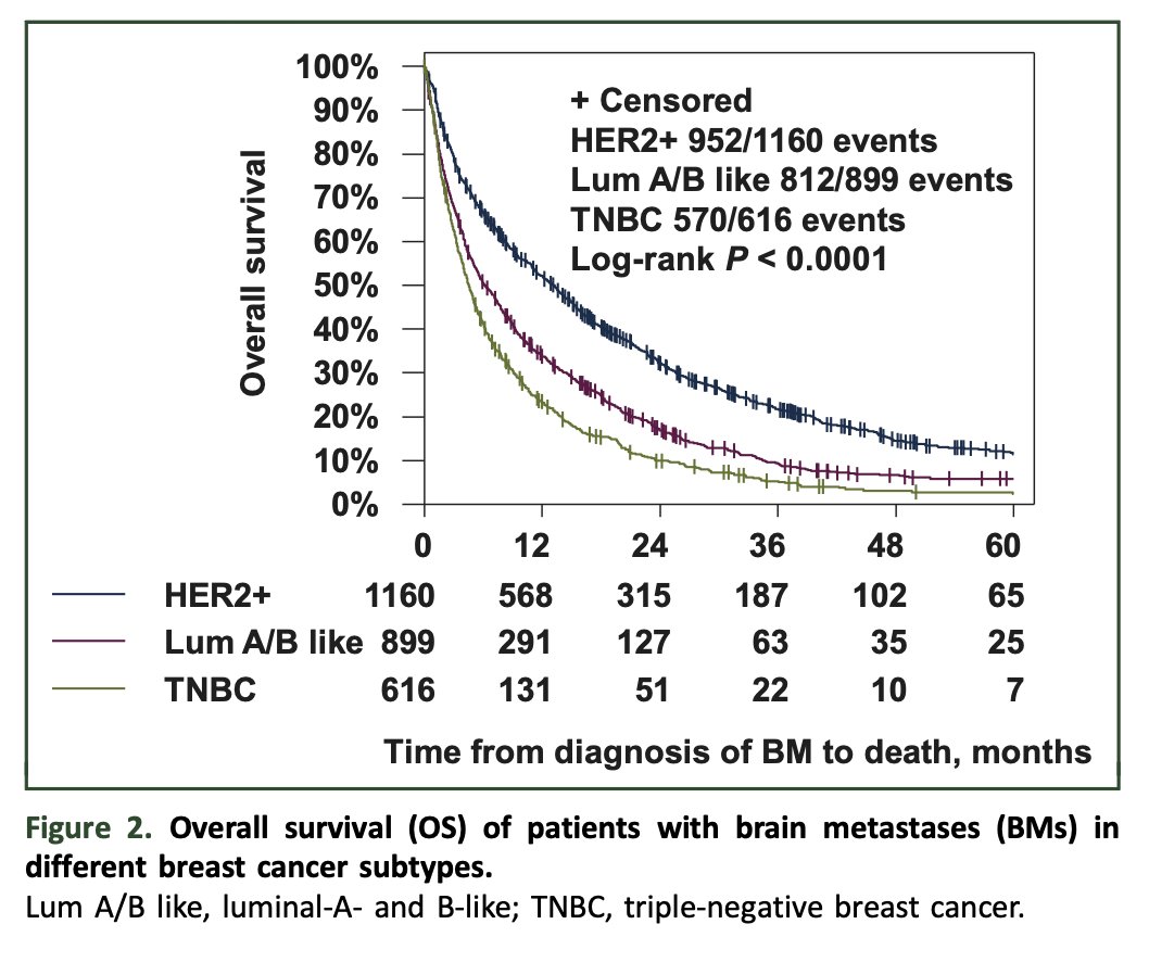 ESMO Open on Twitter "brainmetastases from human epidermal growth