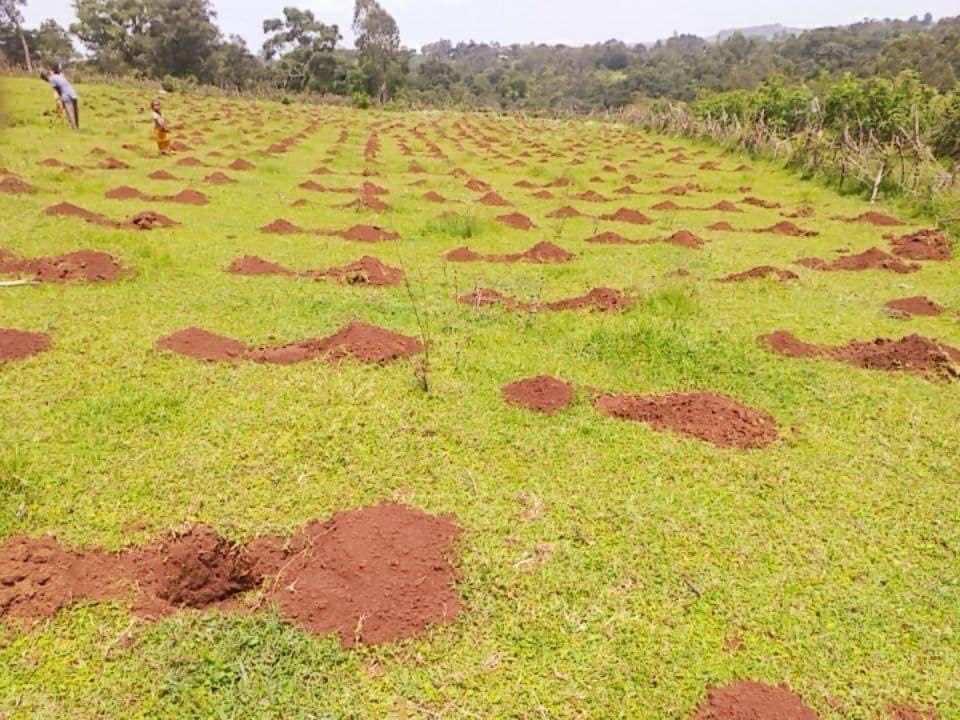 ShimelisAbdisa's tweet photo. The Future of Ethiopia: green economy 
Everything is ready for this year green legacy. Our great people are building the future for the generations to come. Diligence, hard work, cooperation and sacrifice is the only way to prosperity! https://t.co/3Q007keYiT