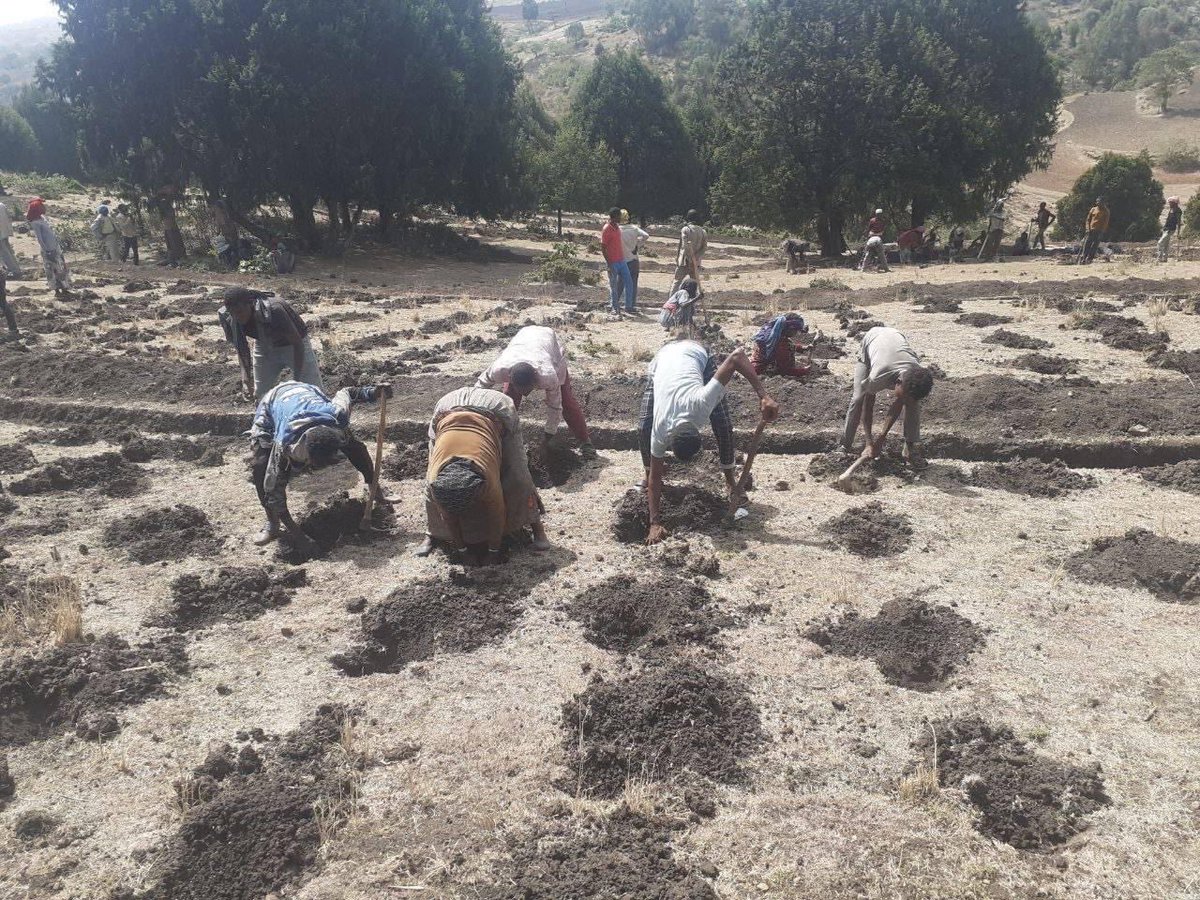 ShimelisAbdisa's tweet photo. The Future of Ethiopia: green economy 
Everything is ready for this year green legacy. Our great people are building the future for the generations to come. Diligence, hard work, cooperation and sacrifice is the only way to prosperity! https://t.co/3Q007keYiT