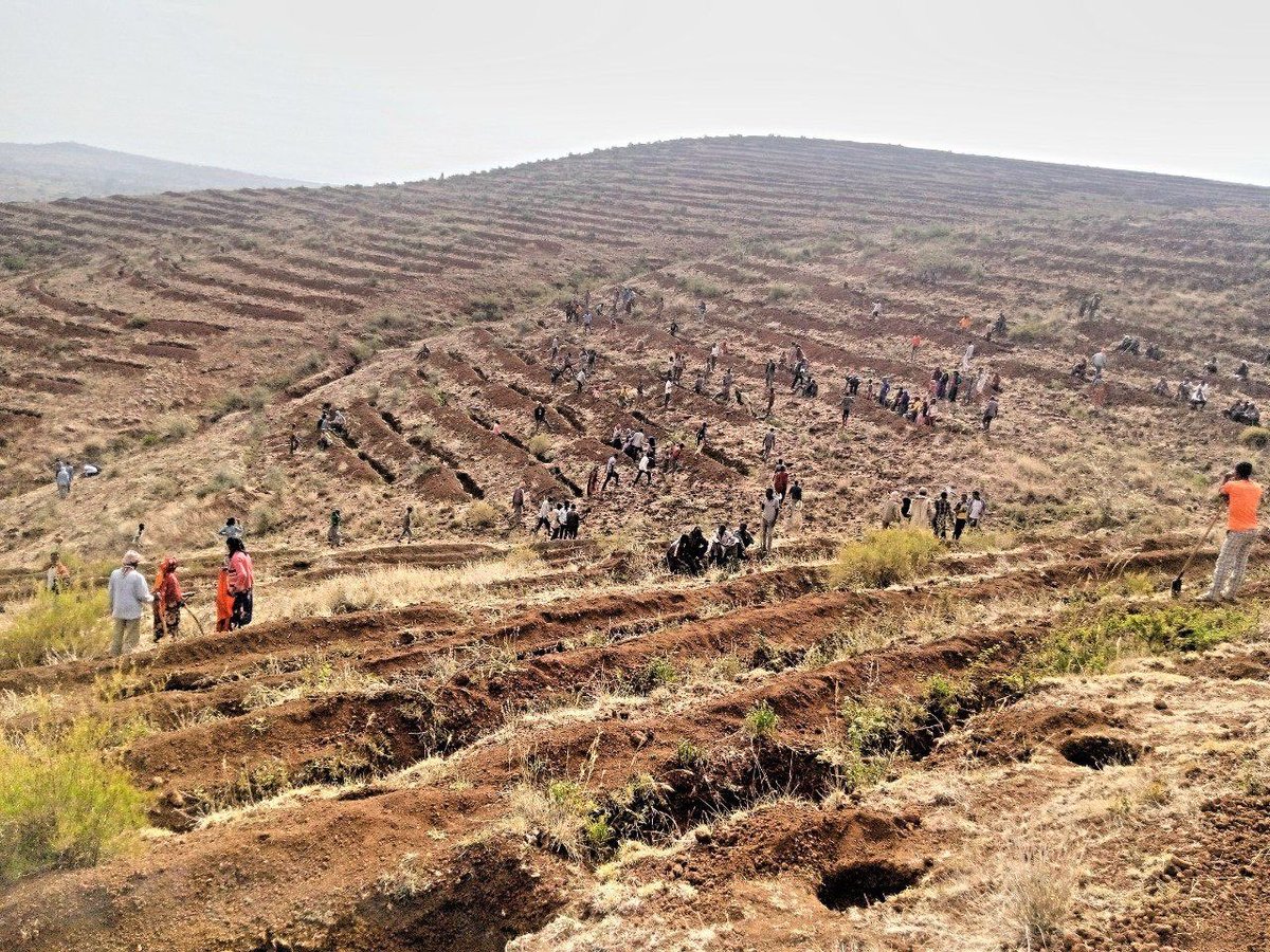 The Future of Ethiopia: green economy 
Everything is ready for this year green legacy. Our great people are building the future for the generations to come. Diligence, hard work, cooperation and sacrifice is the only way to prosperity!
