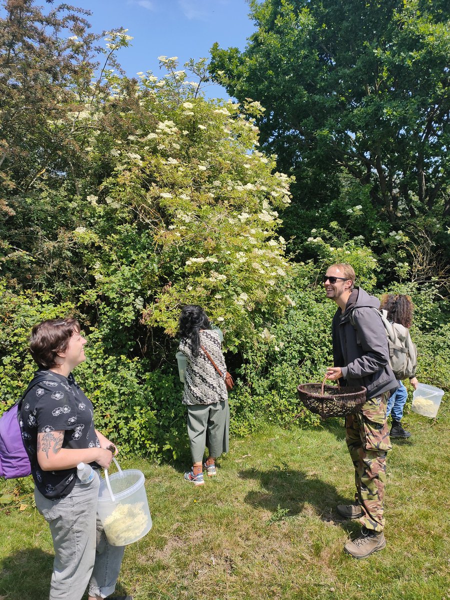 Carol_Edwards_1's tweet photo. Lovely afternoon with @goingpicking gathering elderflowers from Eastbrookend Country Park to make cordial 🥂 and learning how to make natural twine with nettles! 🌿 #beautiful #outdoors #nature #sunshine #forage #LBBDParks https://t.co/urBvBhzgyJ