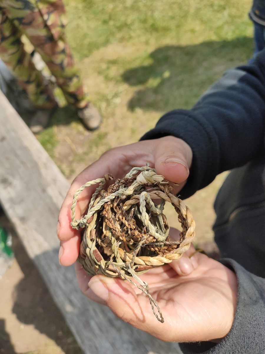 Carol_Edwards_1's tweet photo. Lovely afternoon with @goingpicking gathering elderflowers from Eastbrookend Country Park to make cordial 🥂 and learning how to make natural twine with nettles! 🌿 #beautiful #outdoors #nature #sunshine #forage #LBBDParks https://t.co/urBvBhzgyJ