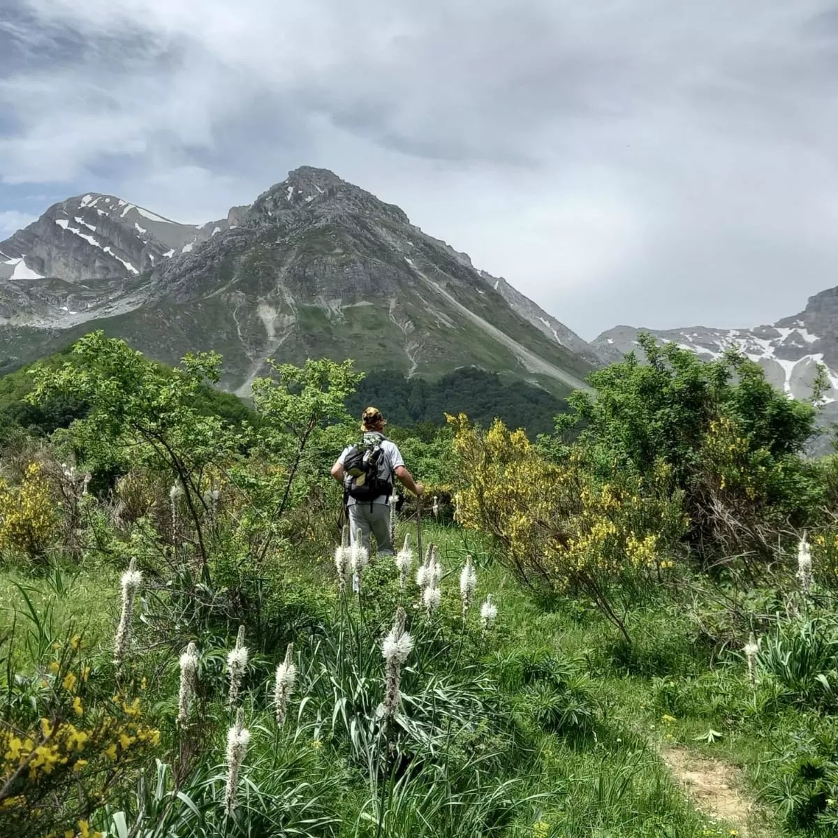 emanuelalory's tweet photo. IndianaIac alla ricerca del Botton d'oro

#pietracamela #pietracamelapratiditivo #teramo #abruzzo #abruzzo_in_foto #abruzzolovers❤️ #abruzzolovers #camminareinmontagna #camminarenellanatura #montagna https://t.co/LC04zWBJEQ