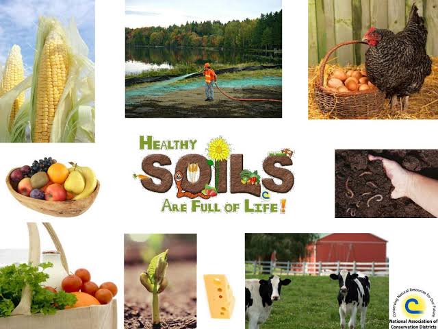 bigfundu's tweet photo. @narendramodi @SadhguruJV Thank you Modi ji for taking your valuable time out to address this pressing issue. Bringing proper long-term policies to #SaveSoil is our responsibility. https://t.co/mEQz3jSxJZ